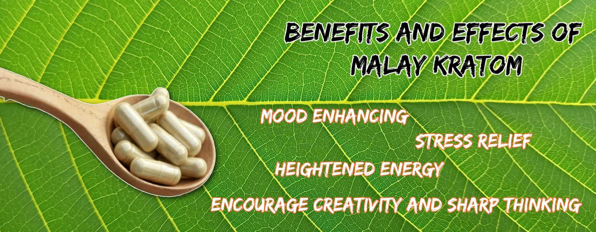 image of malay kratom benefits and effects