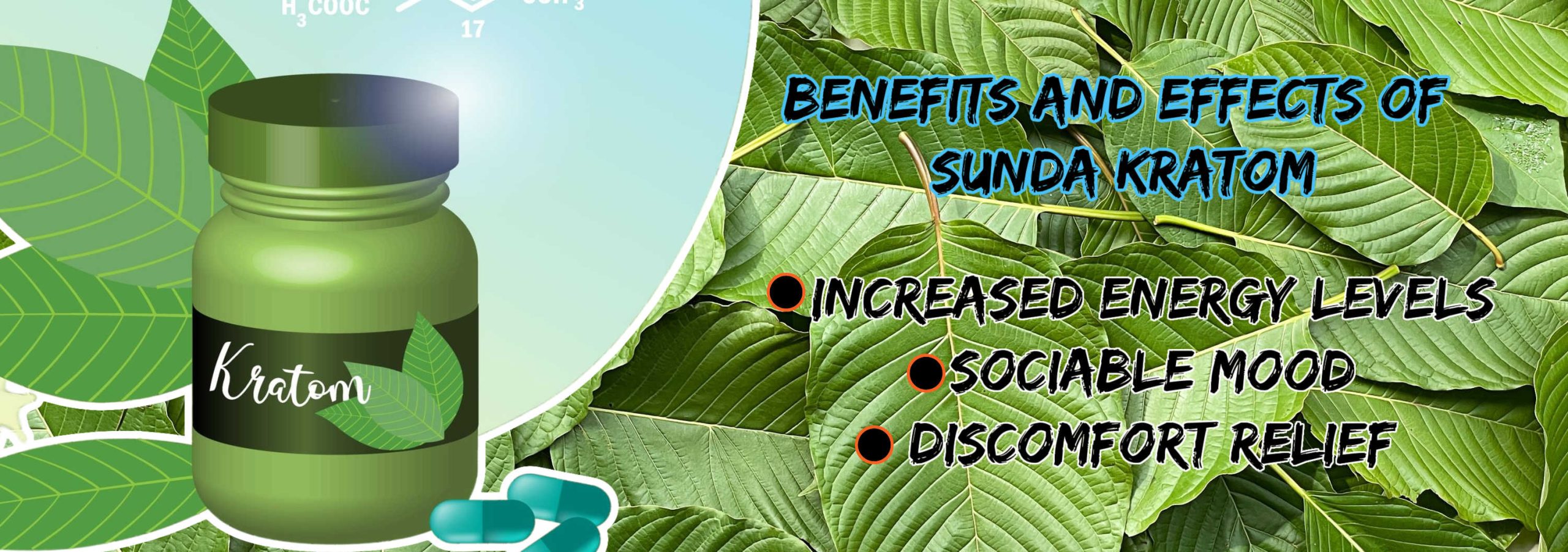 image of benefits and effects of sunda kratom
