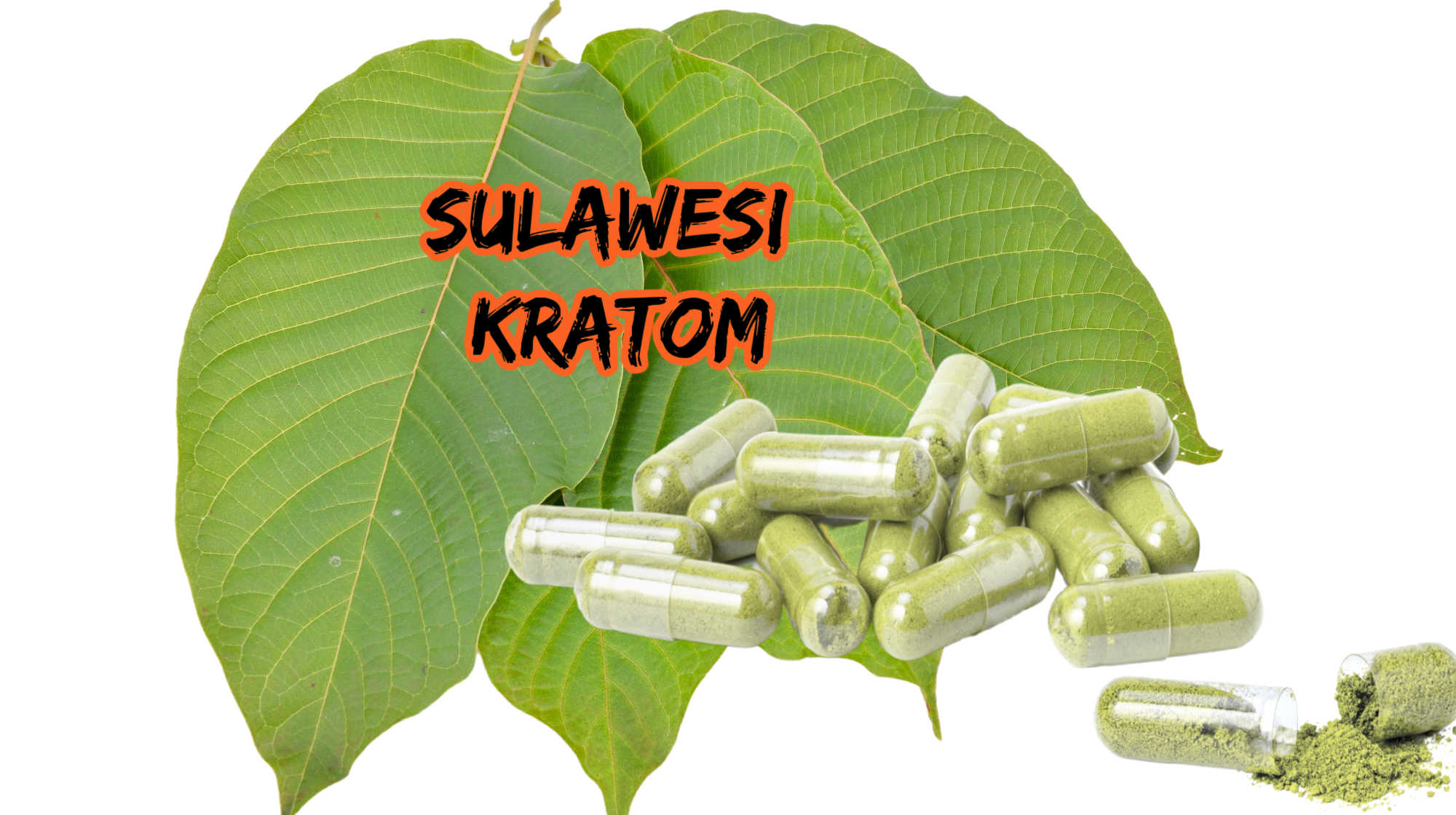 image of sulawesi kratom