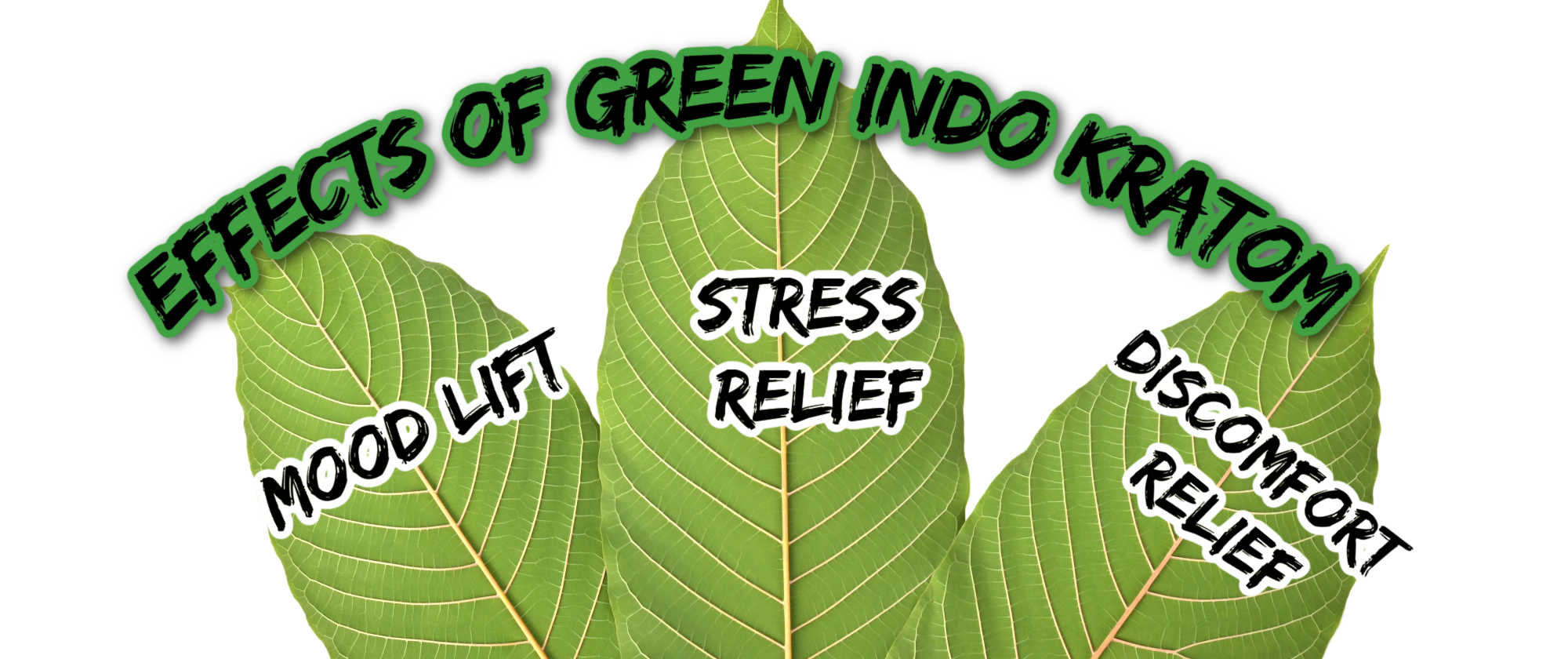 image of green indo kratom effects