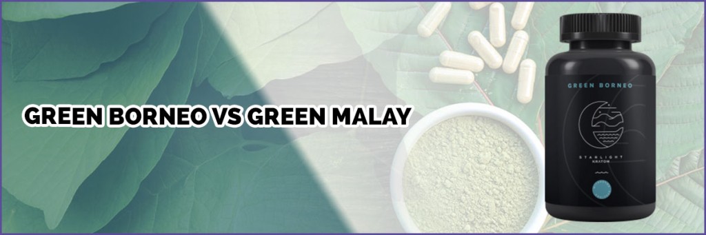 image-of-page-banner-green-borneo-vs-green-malay