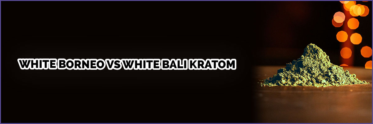image-of-page-banner-white-borneo-vs-white-bali