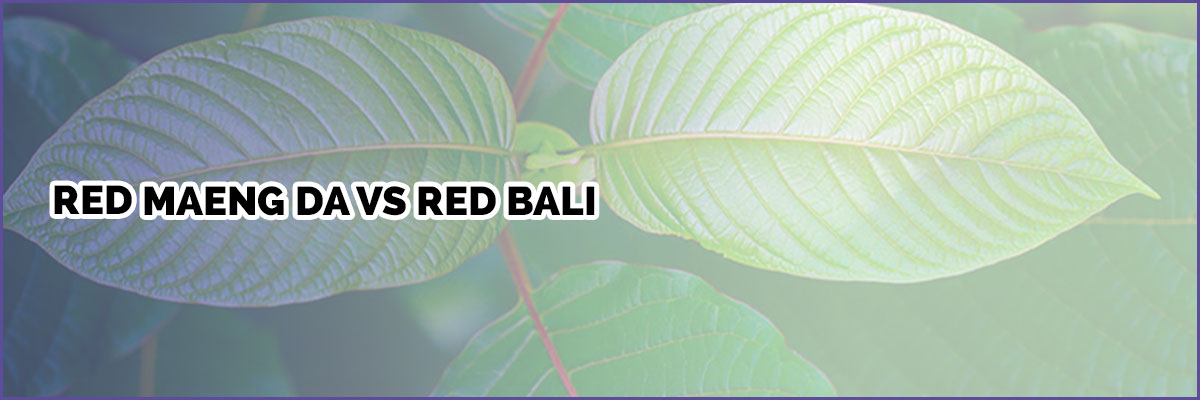 image-of-page-banner-red-maeng-da-vs-red-bali