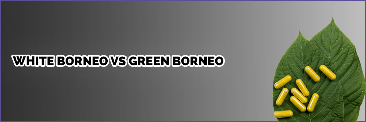 image-of-page-banner-white-borneo-vs-green-borneo