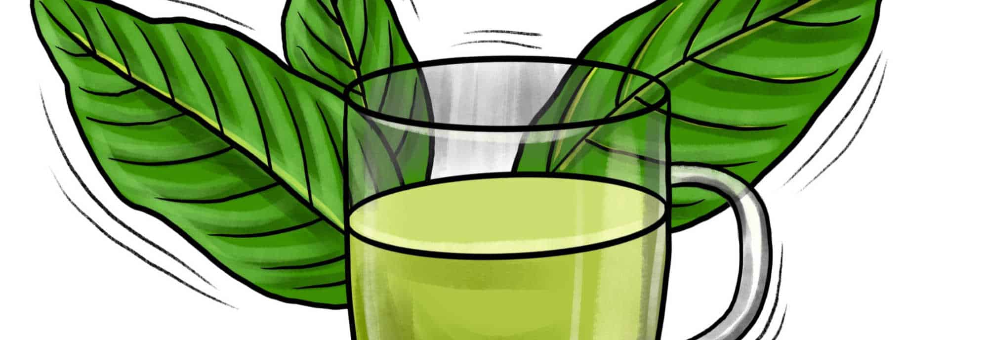image of kratom leaves and juice