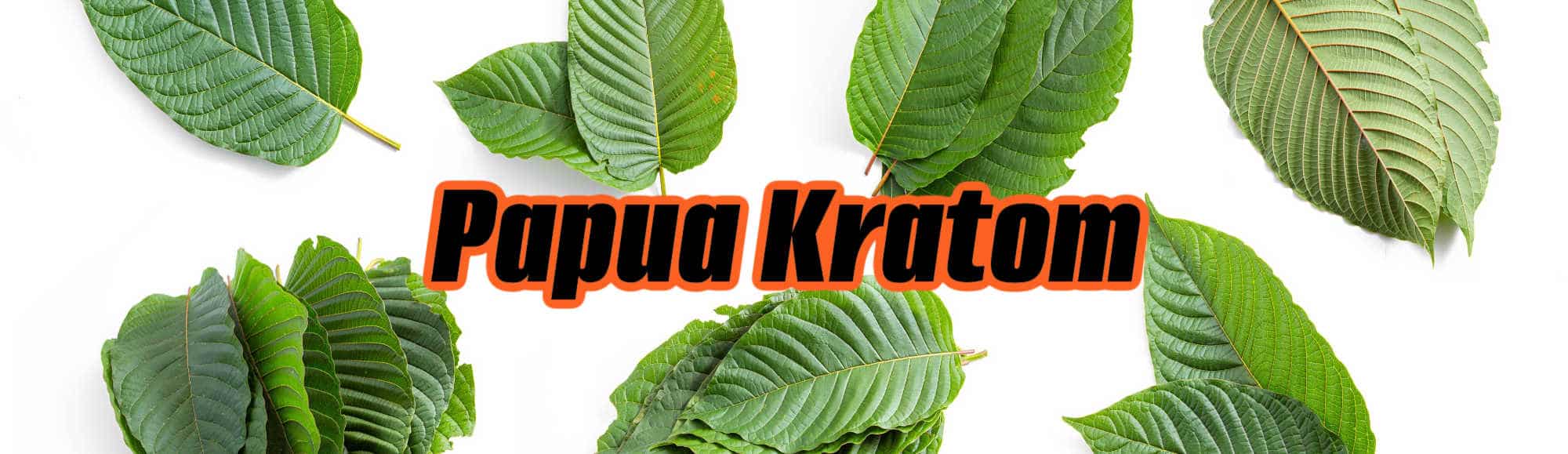 papua-kratom-leaves
