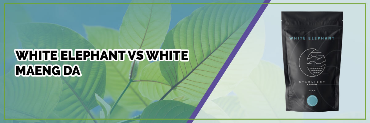 image of page banner white elephant vs white maeng da