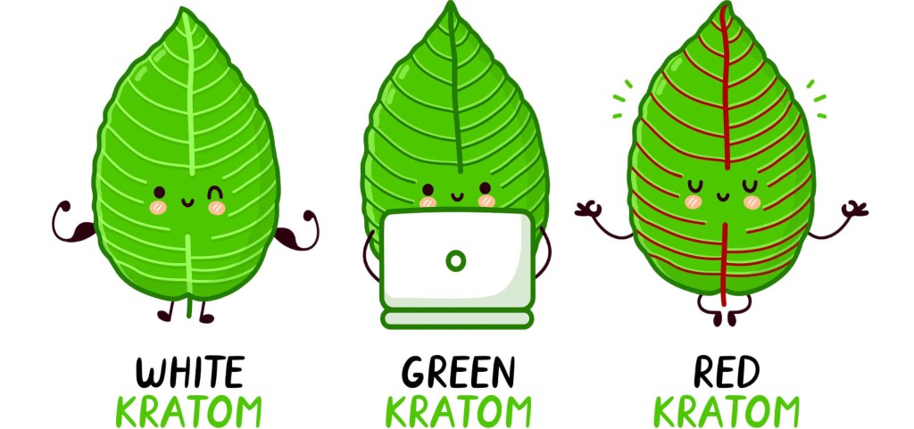 image of different kratom strains