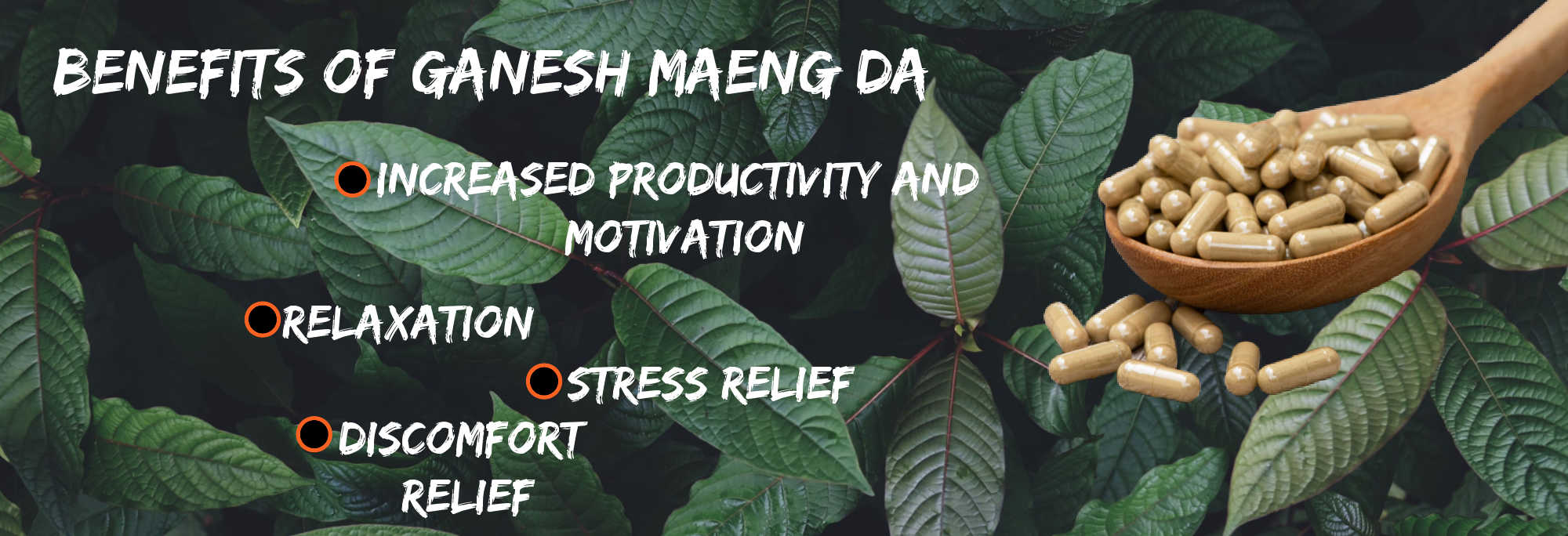 image of ganesh maeng da benefits